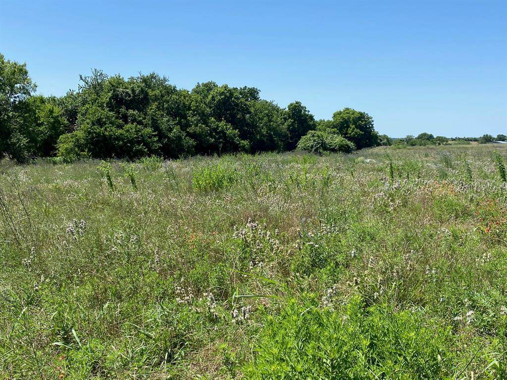15.69 Acres County Road 316-A - Photo 1