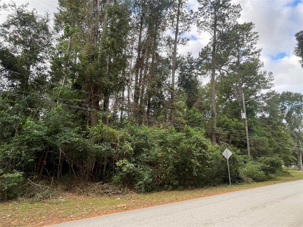 0 Plum Creek Drive - Photo 1