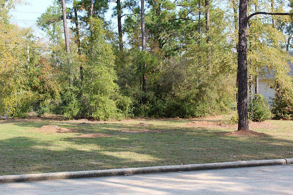 118 Wick Willow Road - Photo 1