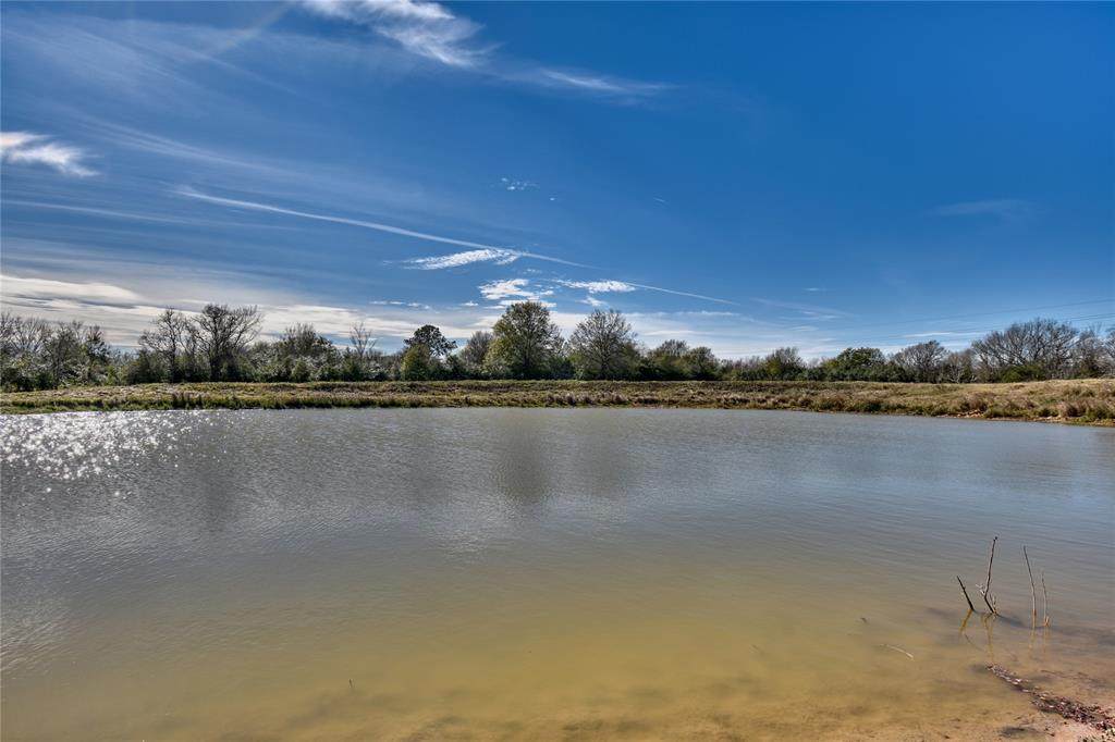 16204 Mathis Road - Photo 1