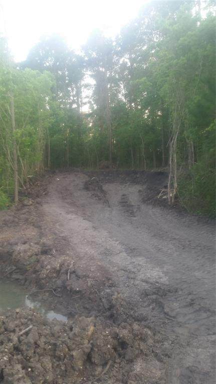 2333 Wolf Road - Photo 1