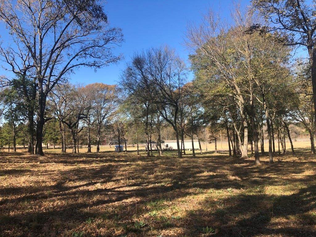 767 Hwy 79 - Photo 1