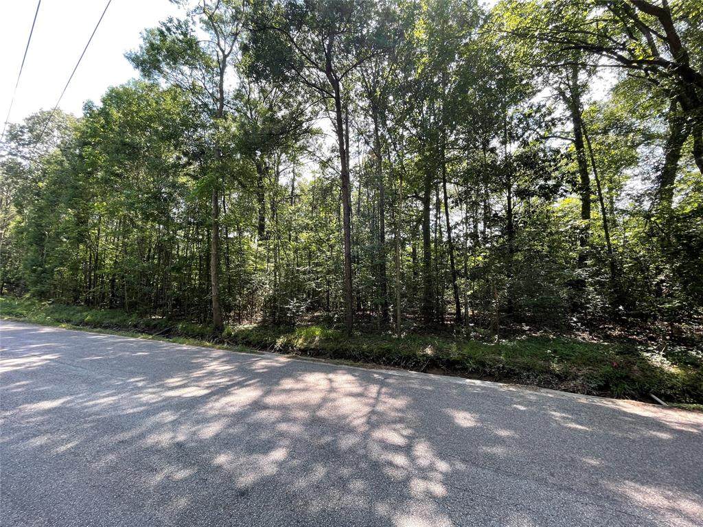 1025 King Oak Drive - Photo 1