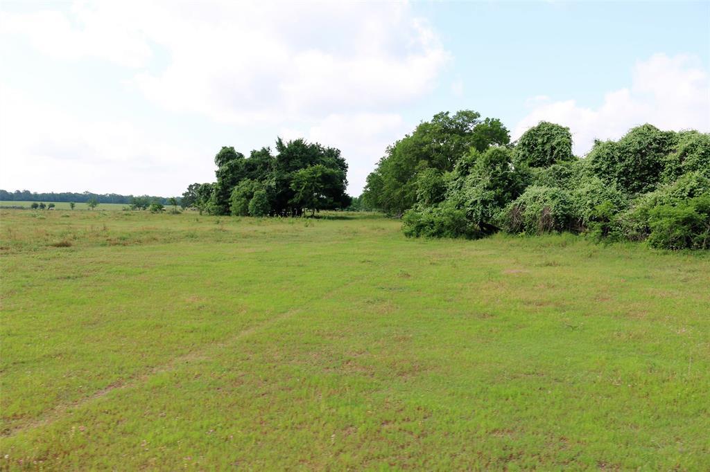 15805 Bundic Road - Photo 1