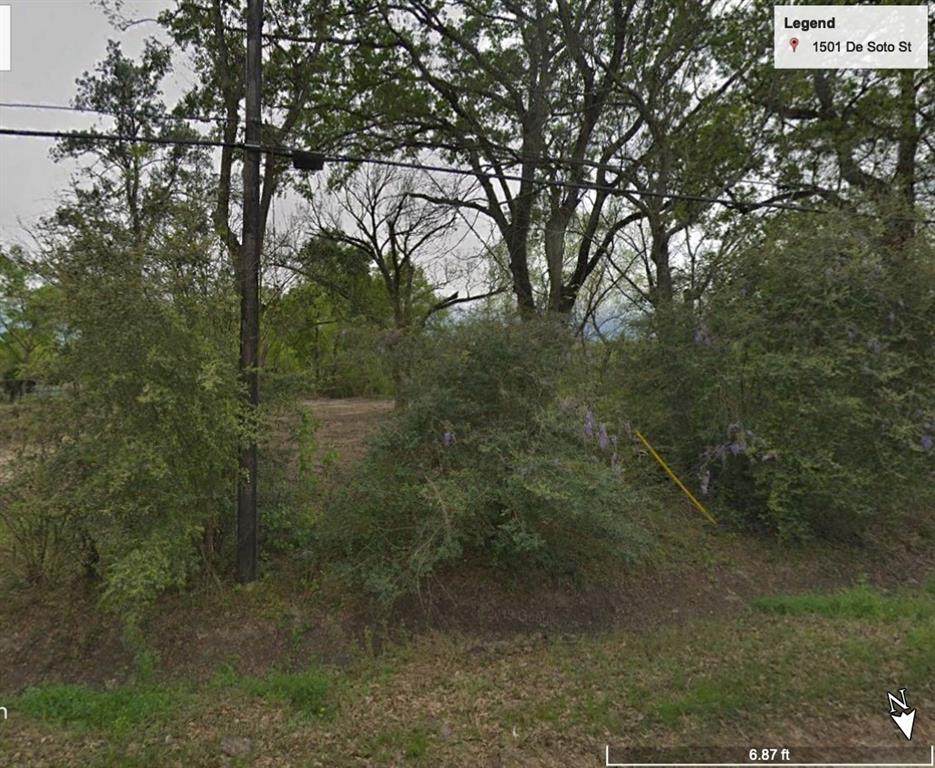 1501 De Soto Street - Photo 1