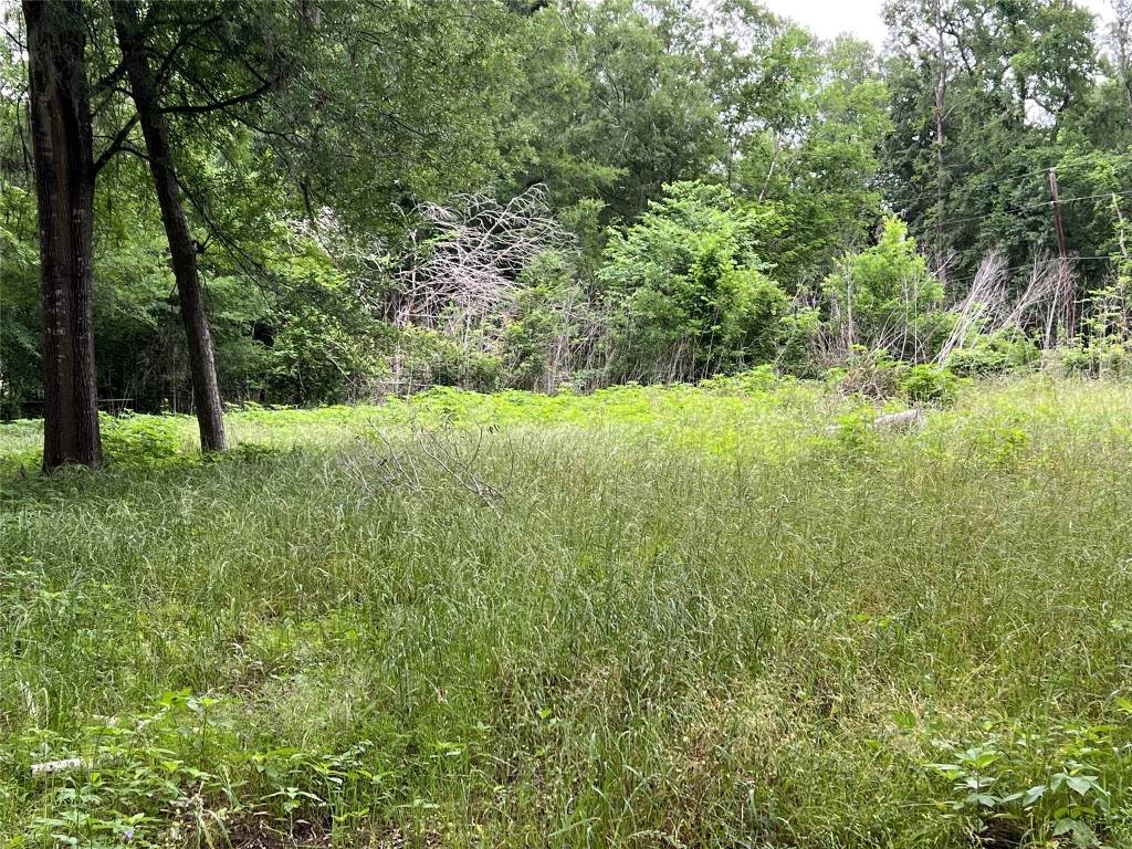 1015 Smith Street - Photo 1
