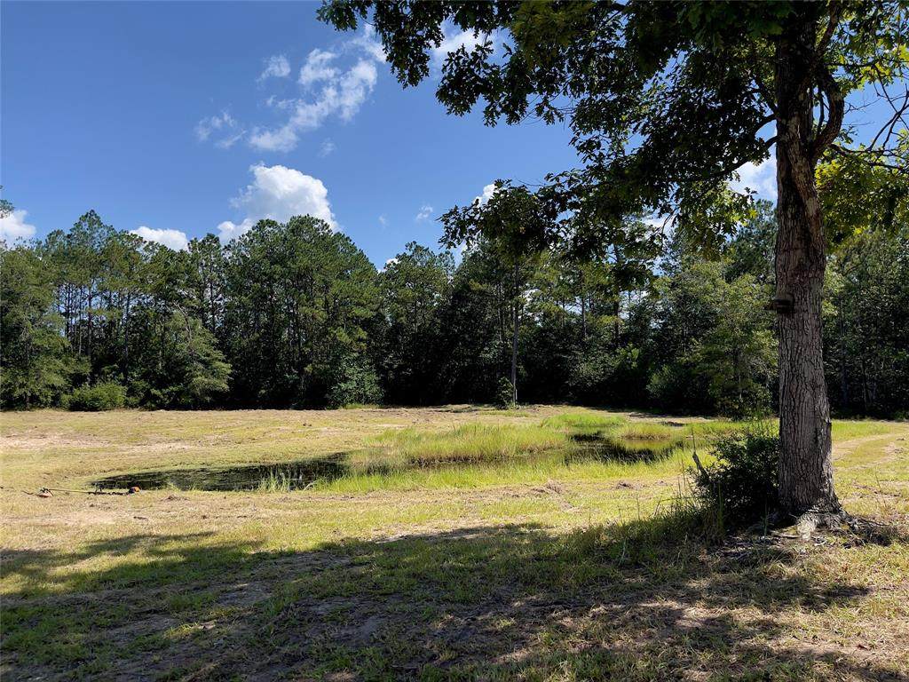 6050 Cherry Hill Road - Photo 1