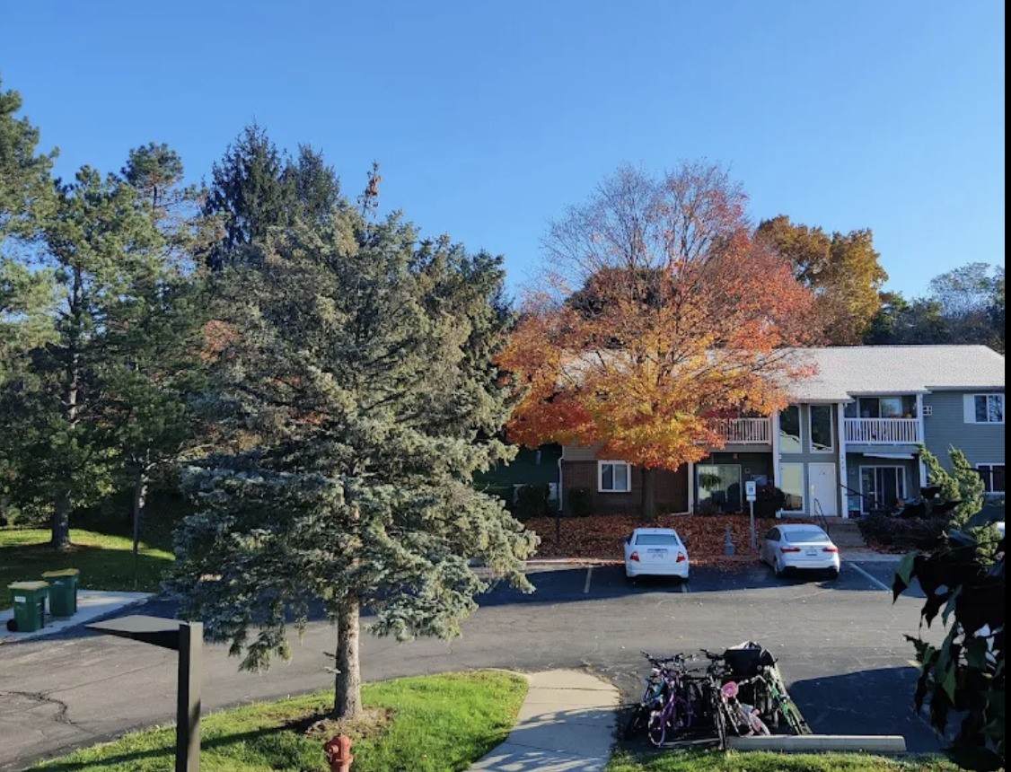 260 Maple Road - Photo 1