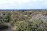 00 Blackgum Drive - Photo 1