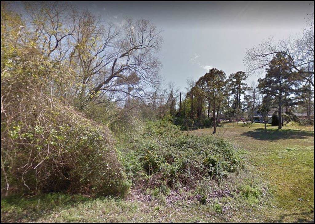 9 Bayou Bend - Photo 1