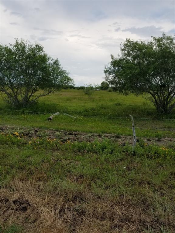 38267 Zadelsky Road - Photo 1