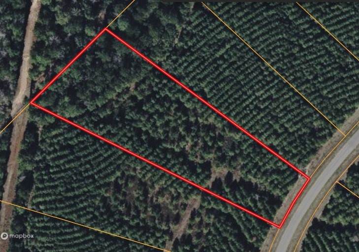 15705 Ridge Rock Road - Photo 1