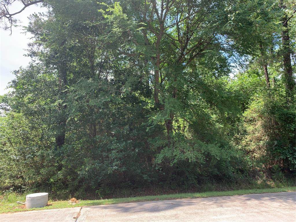 25119 Tara Plantation - Photo 1