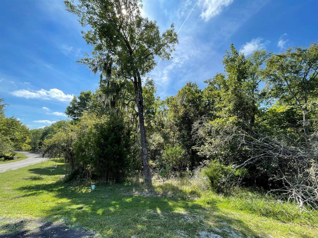 2 Forest Cove Loop - Photo 1