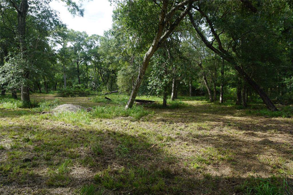 1202 County Road 772 - Photo 1