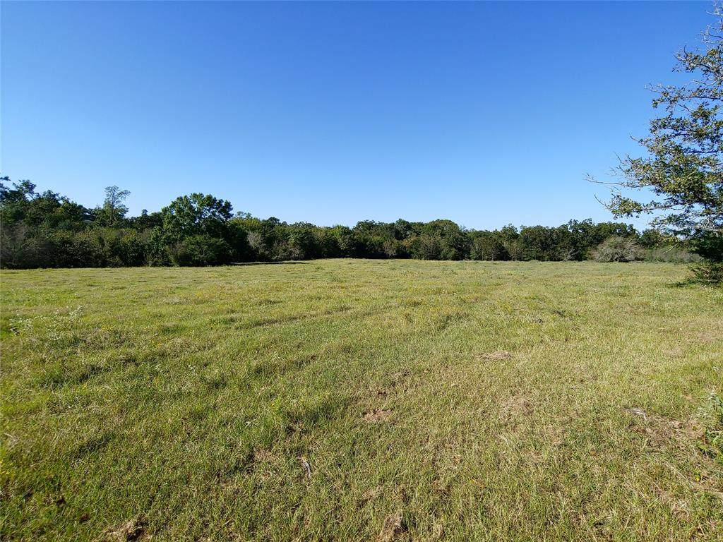 8566 Equestrian Lane - Photo 1