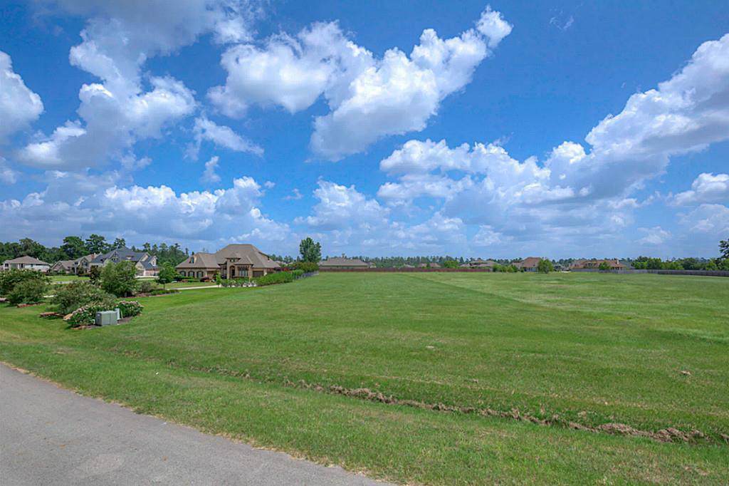 11696 Grand View Drive - Photo 1
