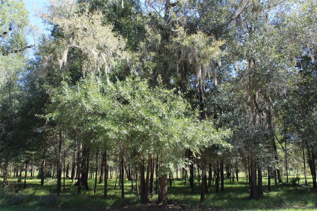 Lot 379 Sour Lake Circle - Photo 1