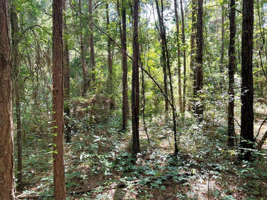 14571 Coushatta Trail - Photo 1