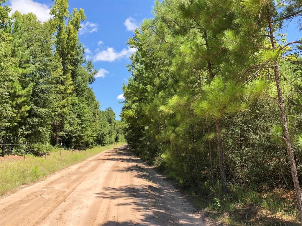 100 Ac Punk Road - Photo 1