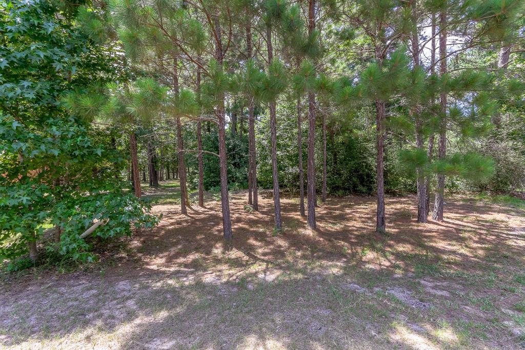 27 Rose Pine Court - Photo 1