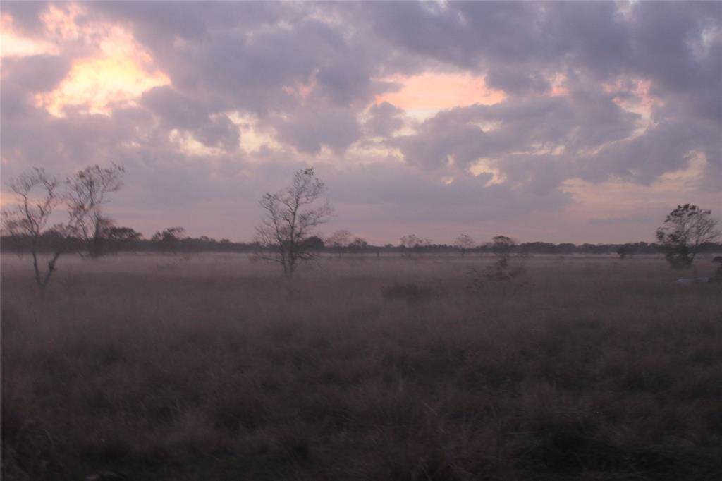 20010 Englin - Photo 1