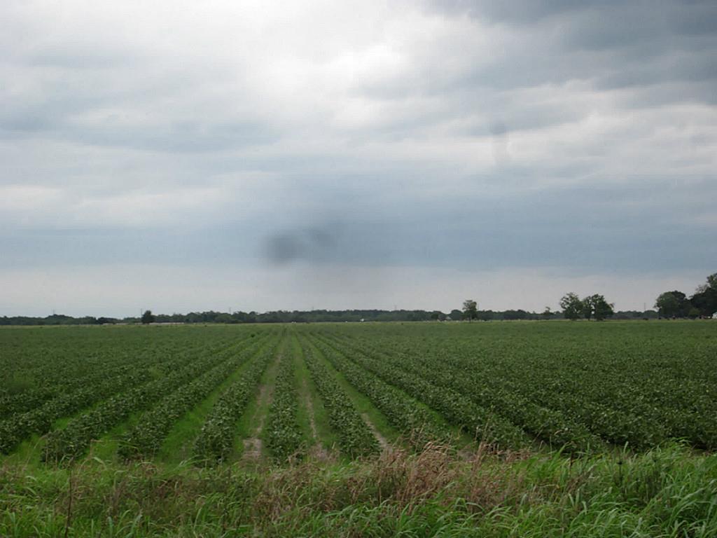 0 Cr 11 Tract 2 - Photo 1