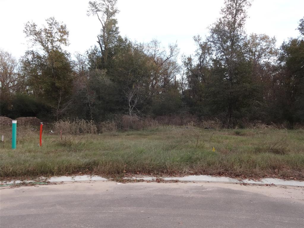 2902 Embers Court - Photo 1