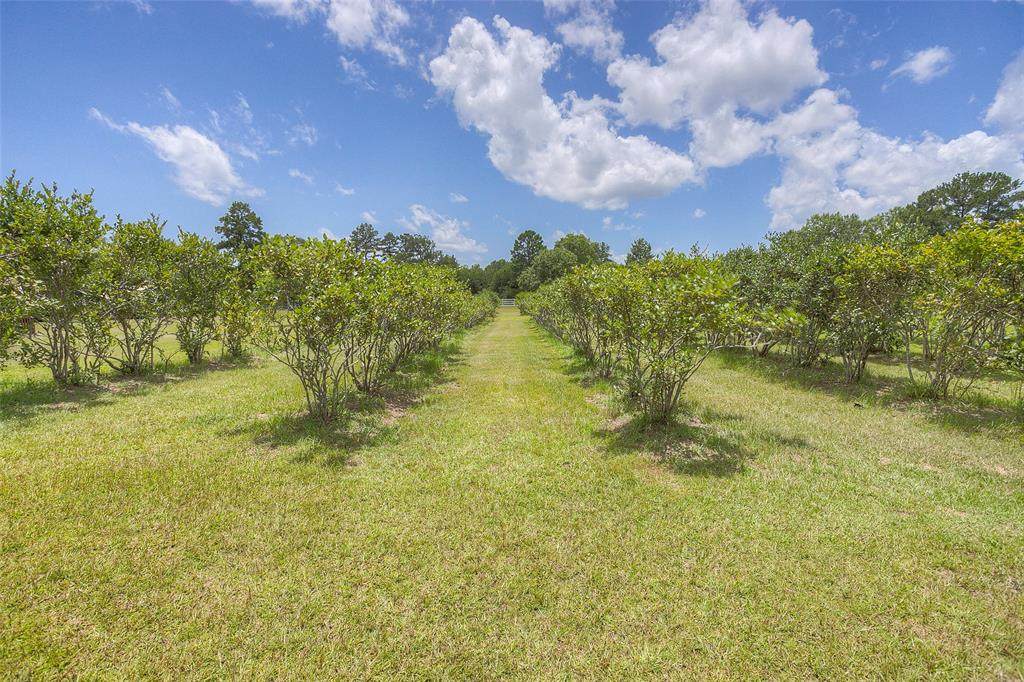 10356 S State Hwy 94 - Photo 1
