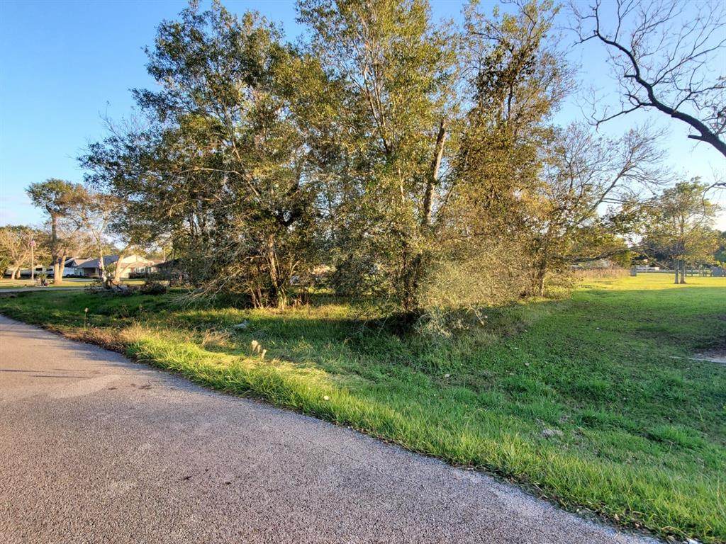 0 County Road 582A - Photo 1