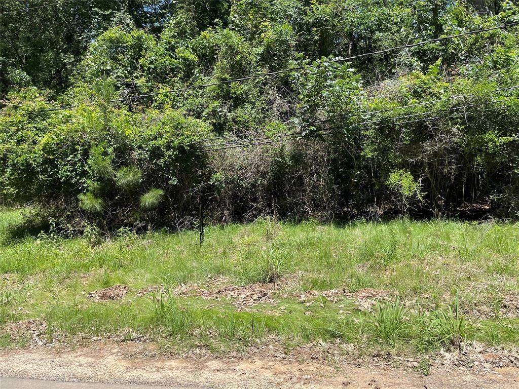 530 Cheatham Road - Photo 1