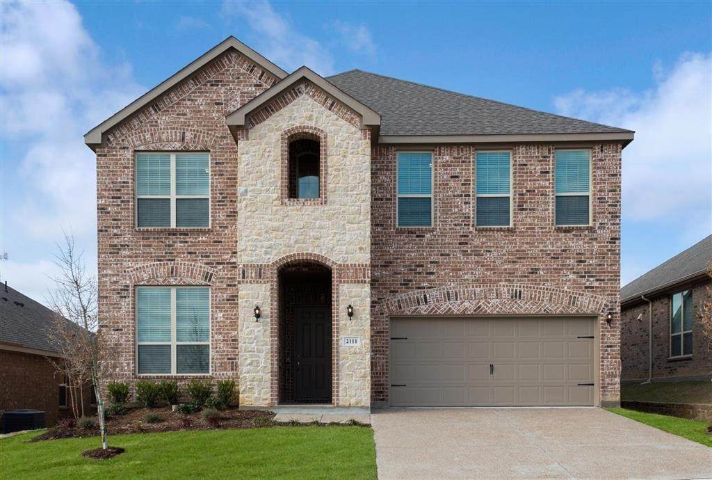 10718 Chinese Violet Street - Photo 1