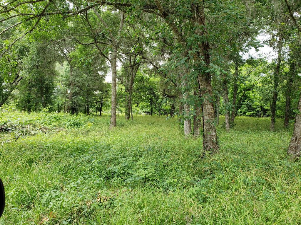 0-1 Birchmont Drive - Photo 1