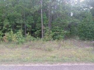 1709 County Road 293 - Photo 1