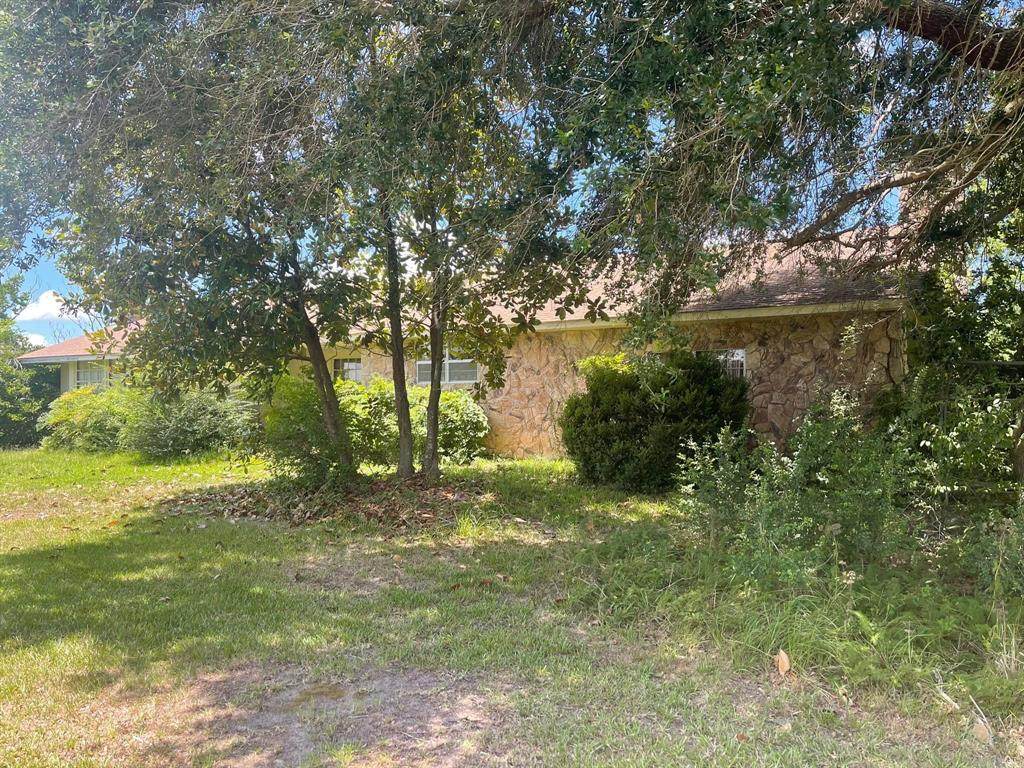 812 County Road 400 - Photo 1