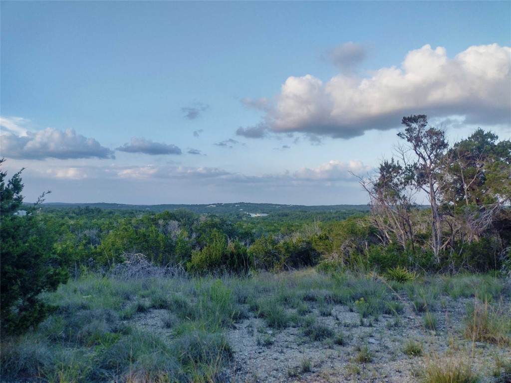 12621 Fitzhugh Road - Photo 1