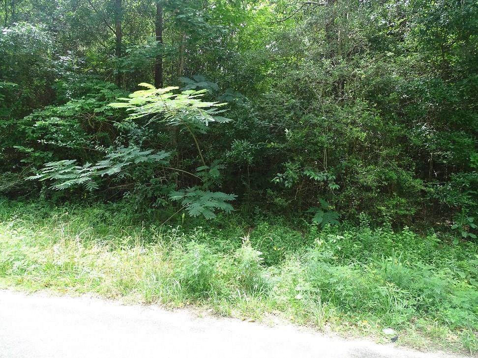 00 Swick Trail - Photo 1