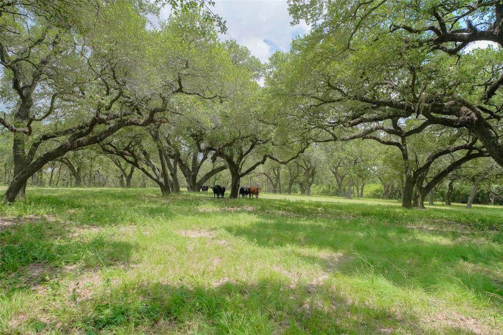 27930 Waller Spring Creek Road - Photo 1