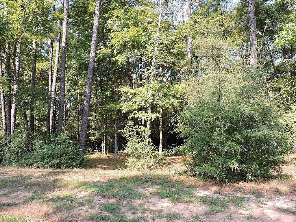 141 Pine Branch Drive - Photo 1 141 Pine Branch Drive - Photo 1