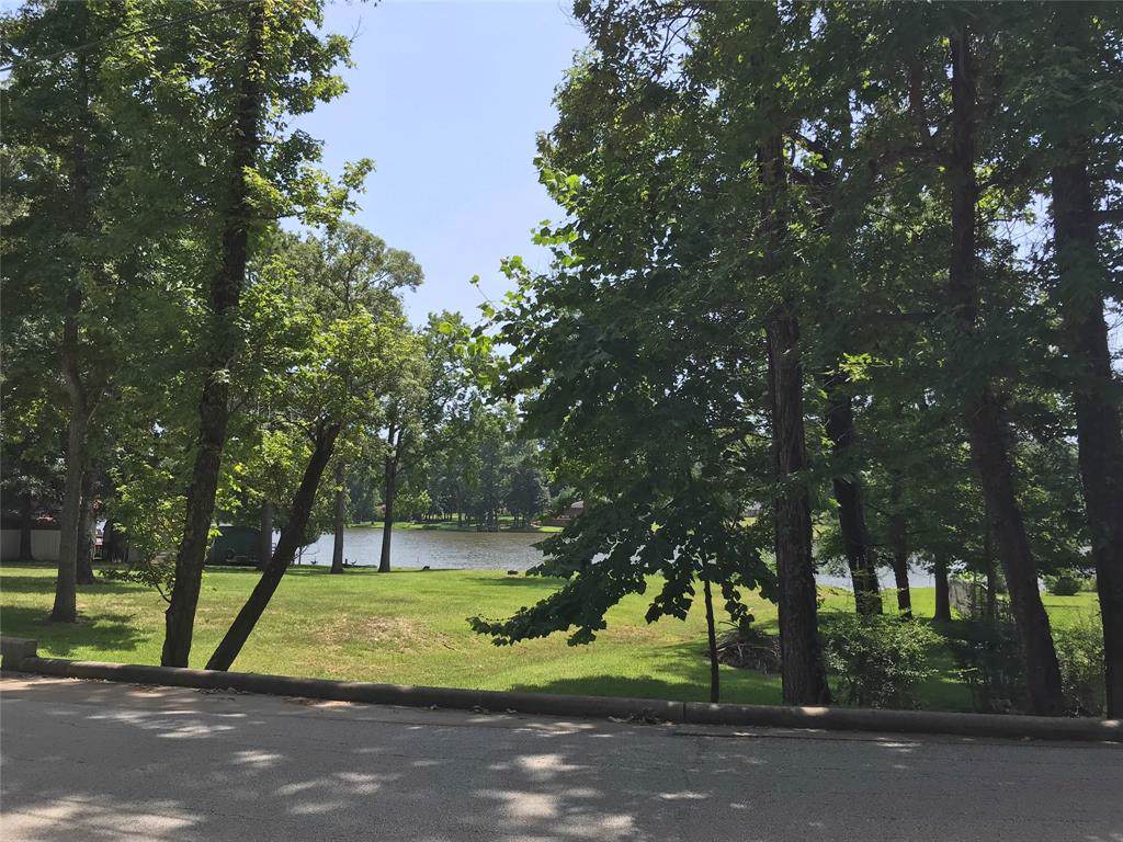 TBD Lake Drive - Photo 1