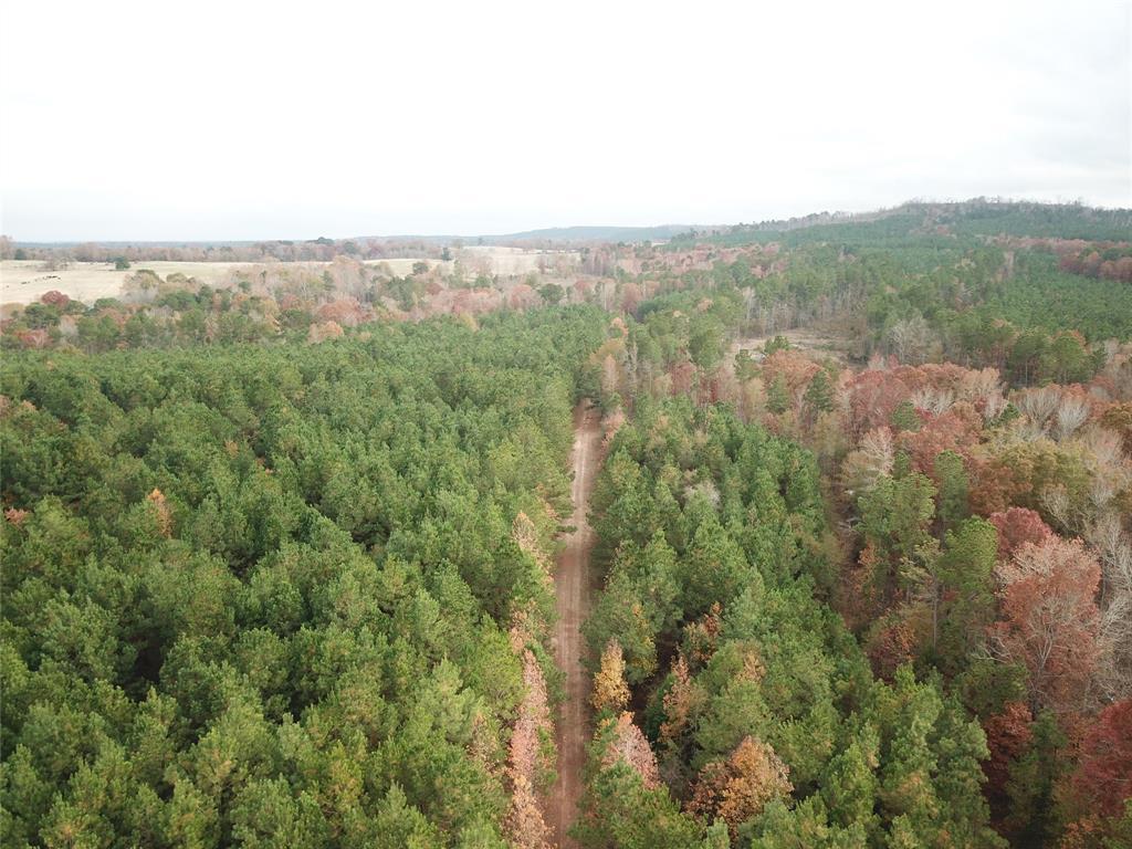 00 Hwy 110 Highway - Photo 1