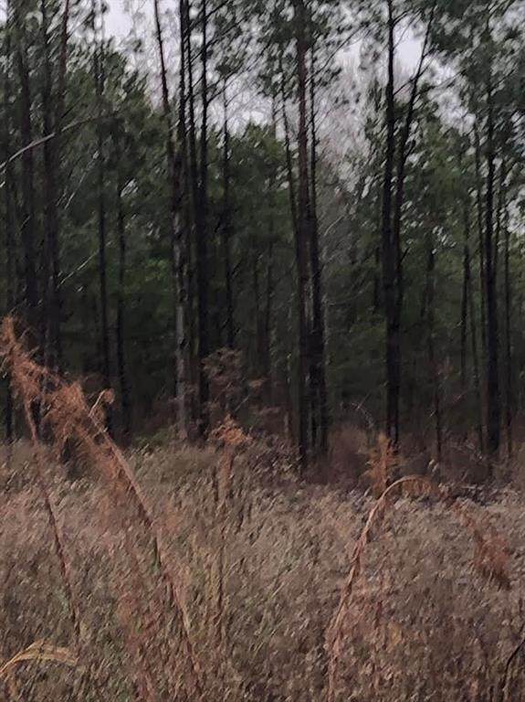672 County Road 4303 - Photo 1