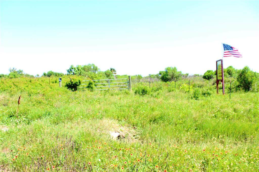 948 Steinhagen Drive - Photo 1