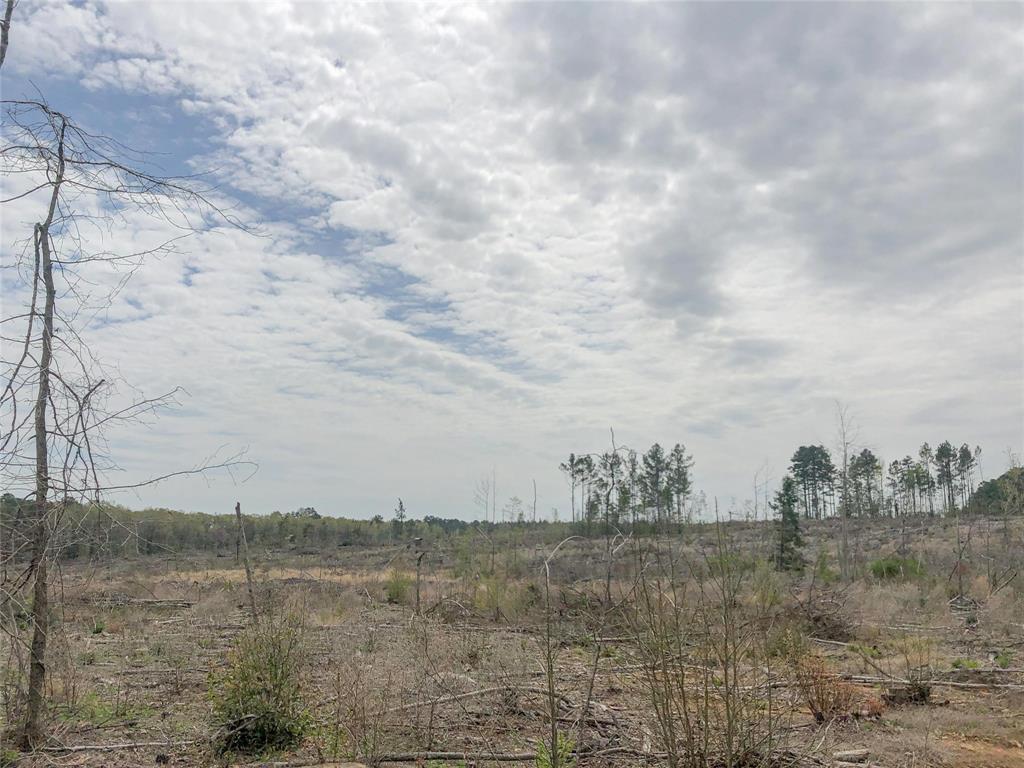 00 Cr 1779 - Photo 1