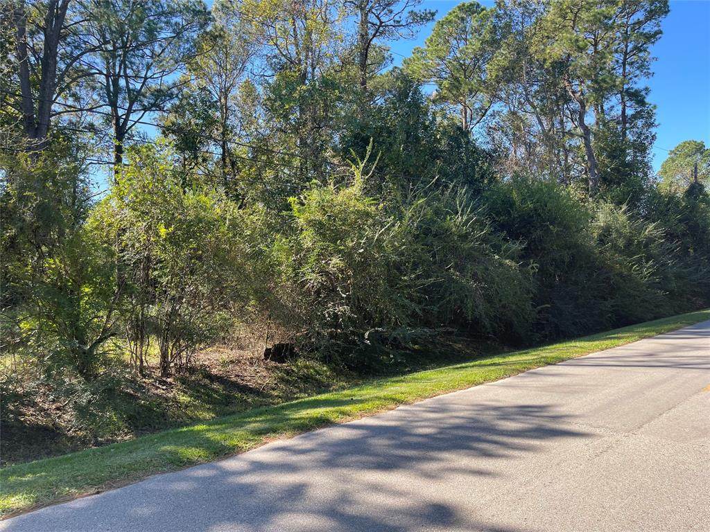 0 Moose Dr Drive - Photo 1