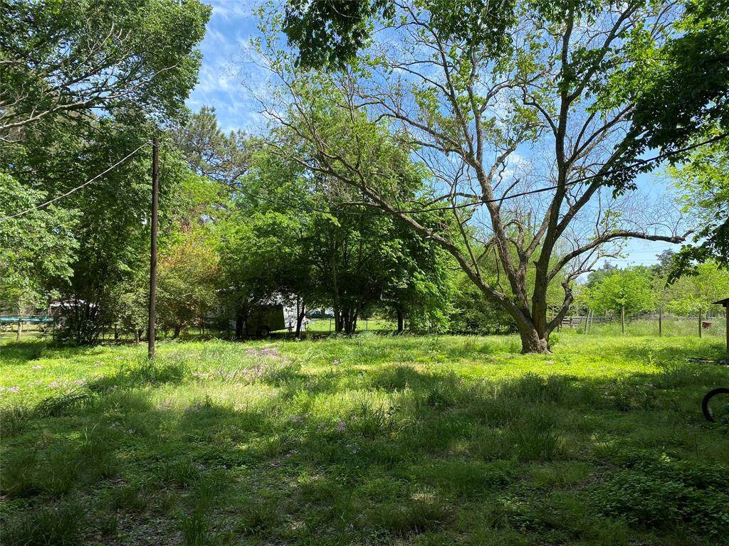 17806 Willow Run Street - Photo 1