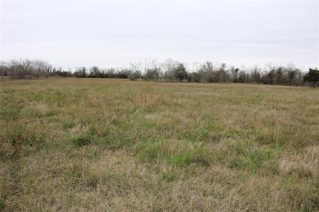 7202 Wetzel - Photo 1