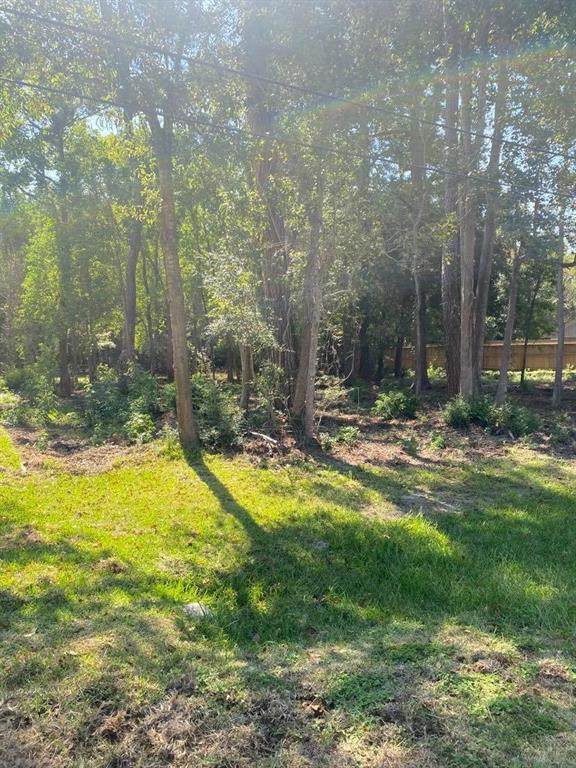 313 Maple Ln Lane - Photo 1