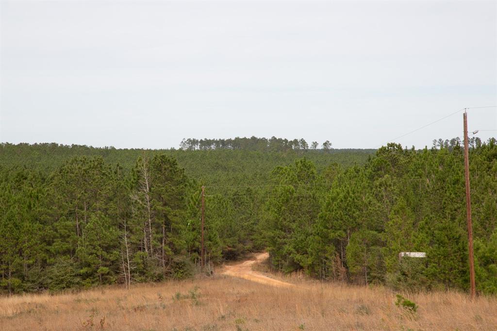 160 Timber Road 14 - Photo 1