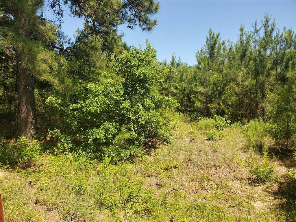 Lot 36 Cardinal Drive - Photo 1